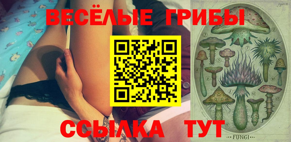 Галлюциногенные грибы Cubensis  Вход с VPN  Псилоцибиновые грибы мухоморы  Ливны 