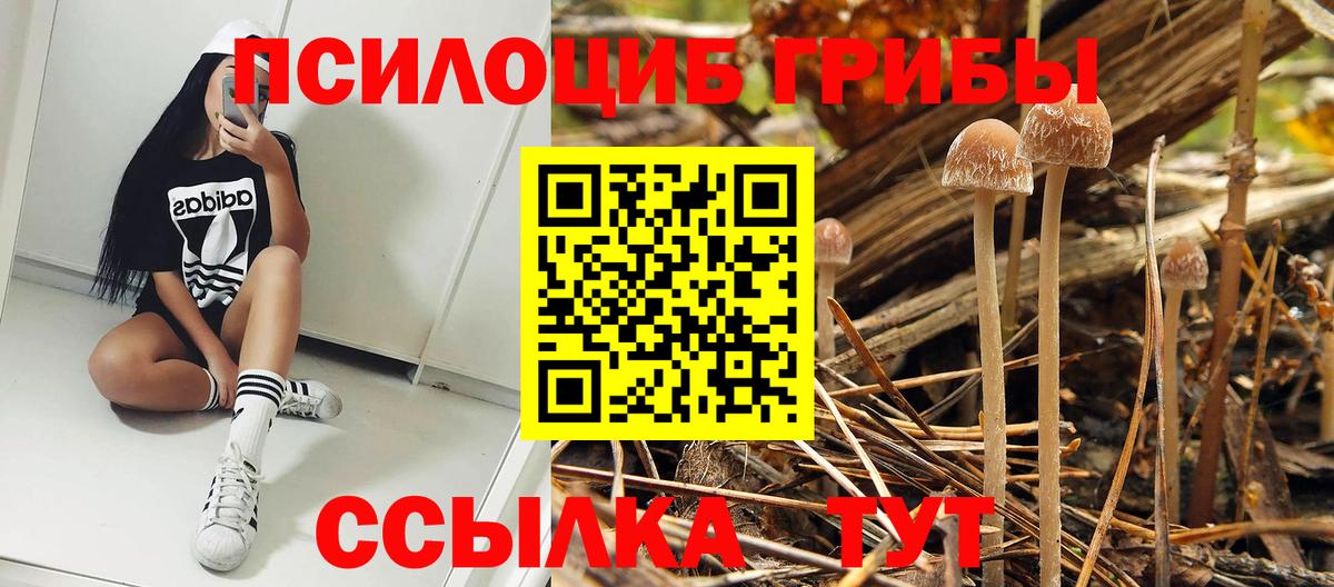 Псилоцибиновые грибы GOLDEN TEACHER Ливны
